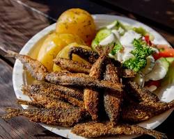 Vendace